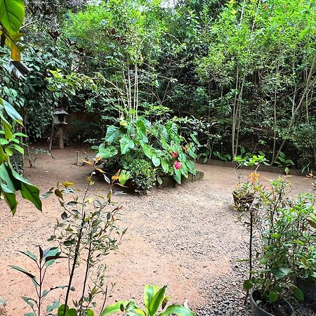 Ella Secret Paradise Екстер'єр фото