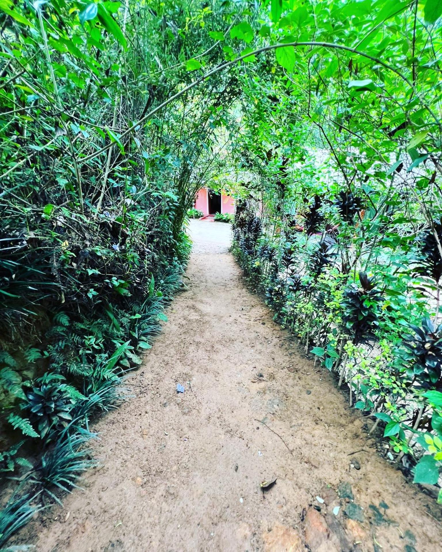 Ella Secret Paradise Екстер'єр фото